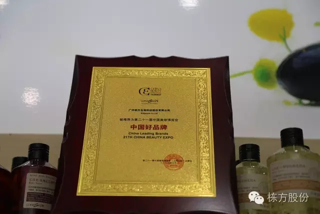 科技引領(lǐng)美麗▏棟方股份榮獲“中國好品牌獎(jiǎng)”！